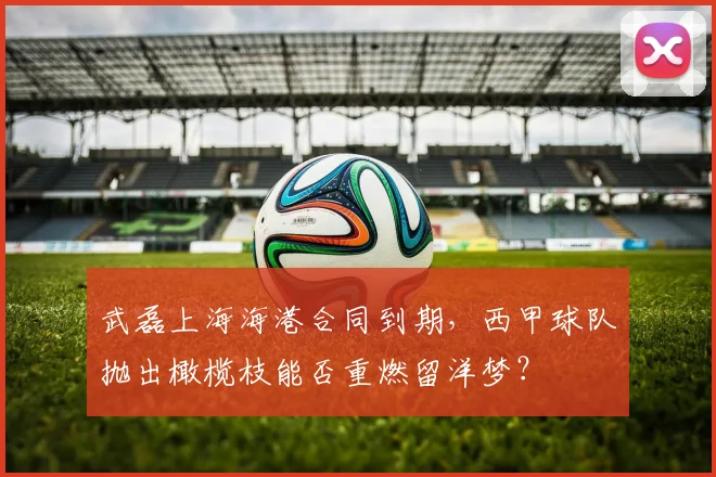 武磊上海海港合同到期，西甲球队抛出橄榄枝能否重燃留洋梦？